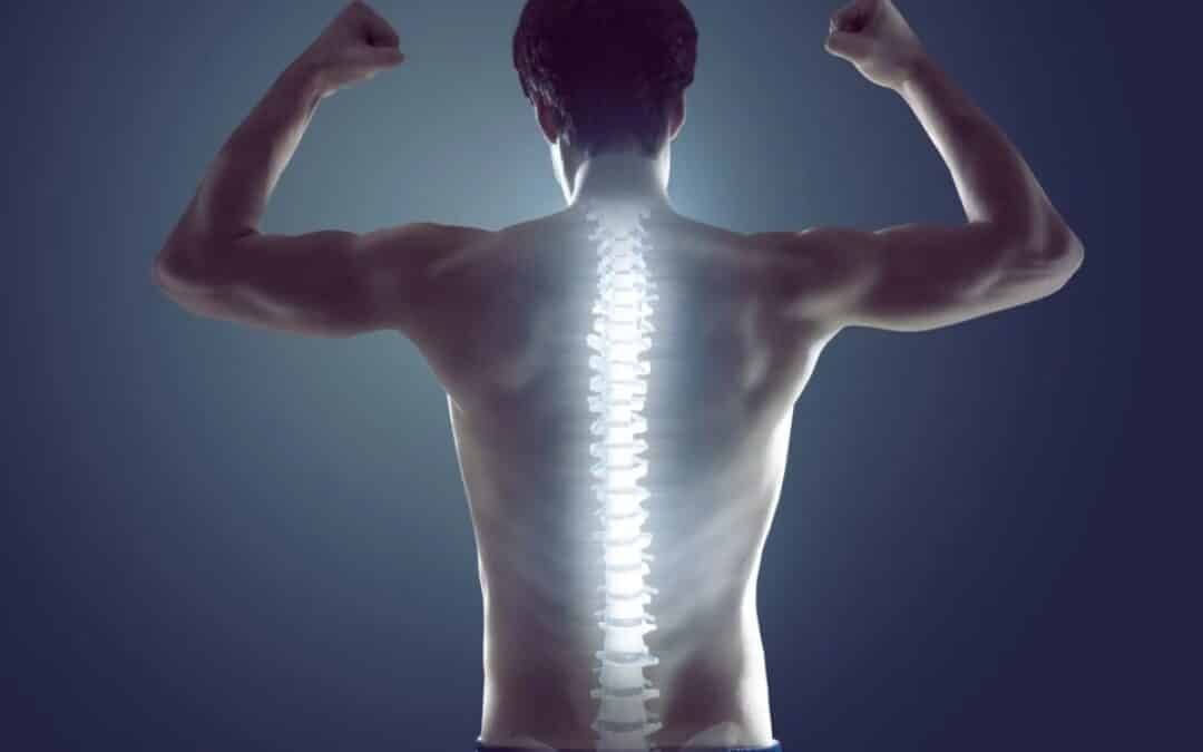 Interesting Facts About Chiropractors
