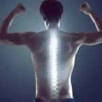 Why Do Chiropractors Focus on the Spine